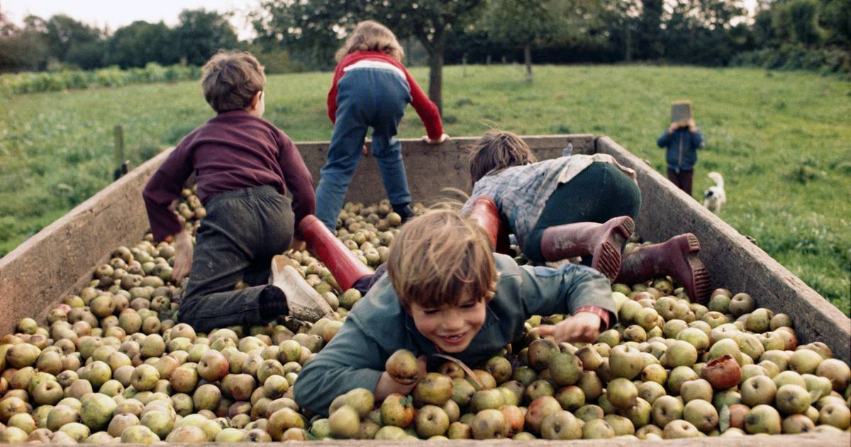 Para sempre o amor, para sempre no tempo das maçãs