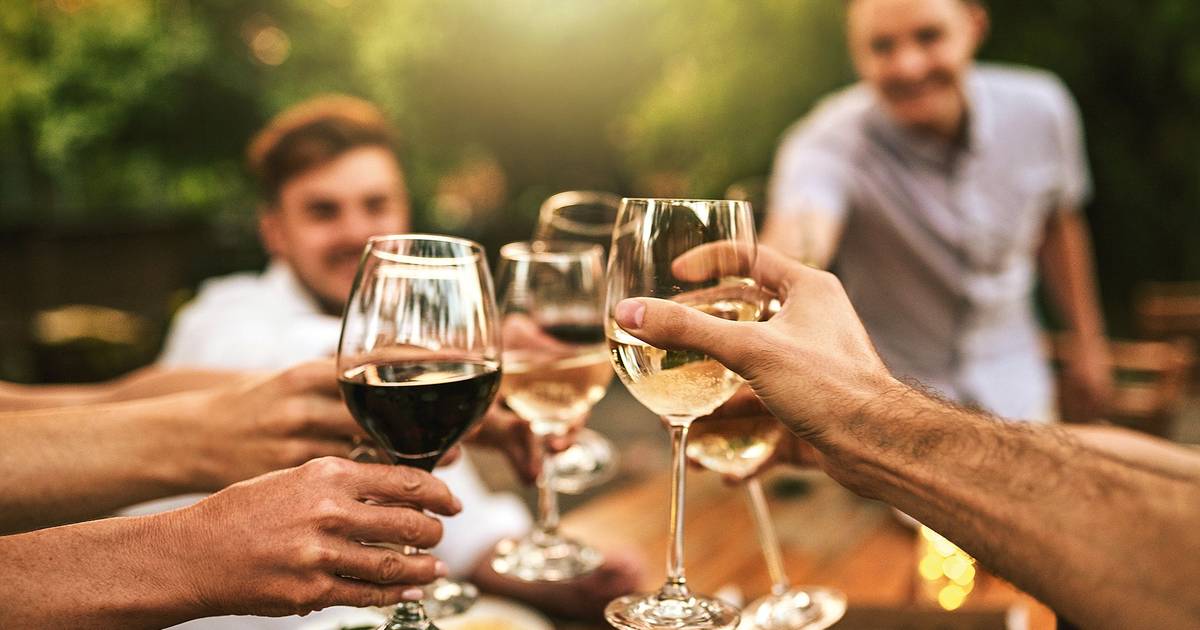 Já reparou nas novidades? Três sugestões de vinhos em época de festas vínicas