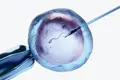 Fertilidade sob encomenda