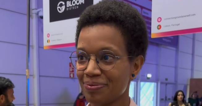 connections web summit