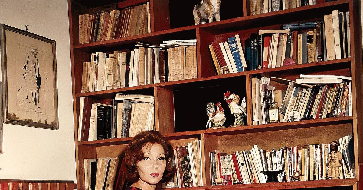 Clarice Lispector: desiludida ilusão em “A Legião Estrangeira”