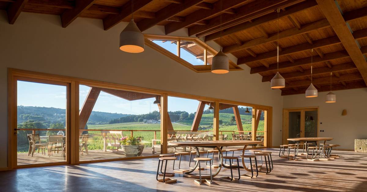 Apanha de cogumelos, cozinha de fogo e vinhos: há um novo festival para celebrar o outono na região do Dão