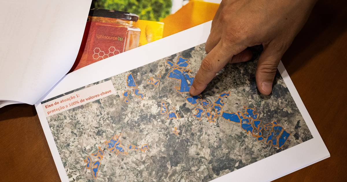 After a wave of public opposition, Lightsource BP promises to redesign the Sophia mega solar power station project