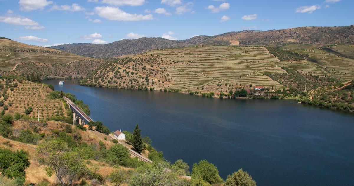 Douro anuncia nova rota turística para valorizar azeite, produtores e Património Mundial