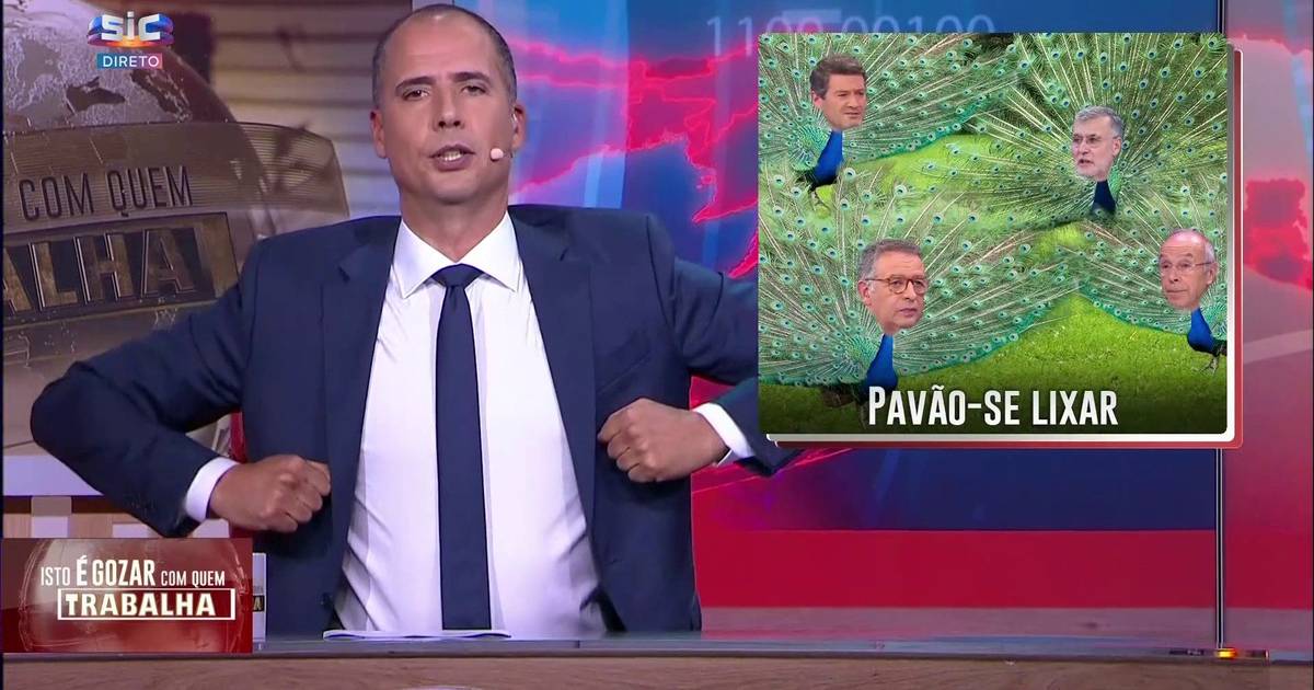 Começaram os 397 debates presidenciais para eleger o melhor pavão de Portugal