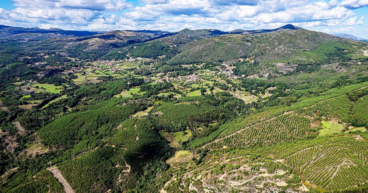 Expropriações para mina de lítio de Boticas entram na “fase final”