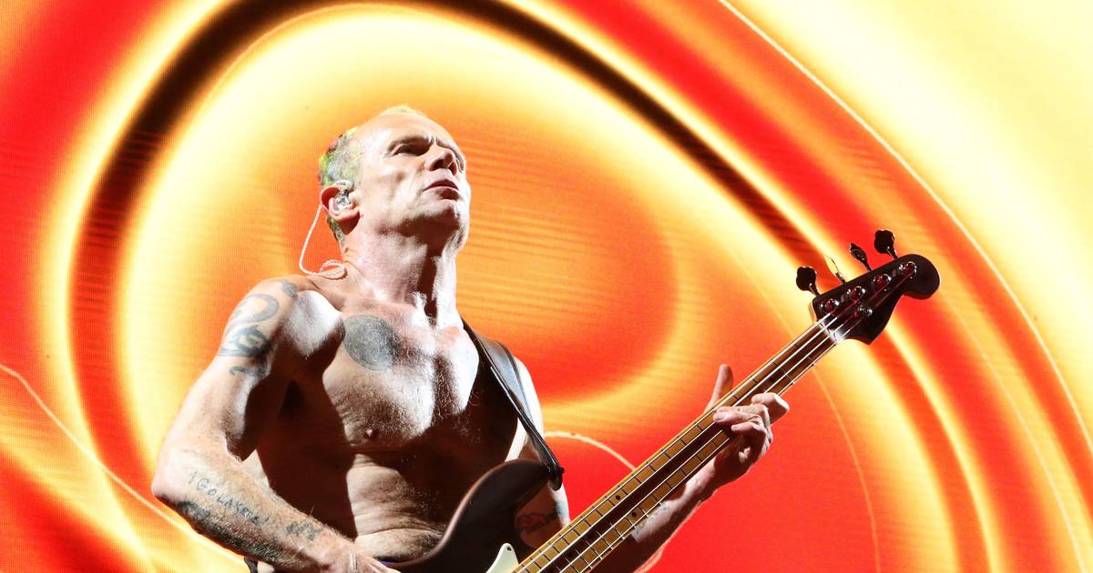 Música nova para o fim de semana: aplausos para Nick Cave, o apelo de Flea e o regresso aos ensaios de Anitta