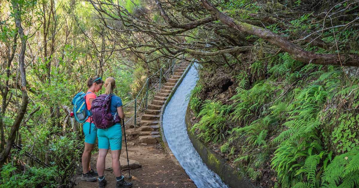 Vai percorrer os trilhos da Madeira? A partir de janeiro, além de pagar é obrigatório reservar dia e hora