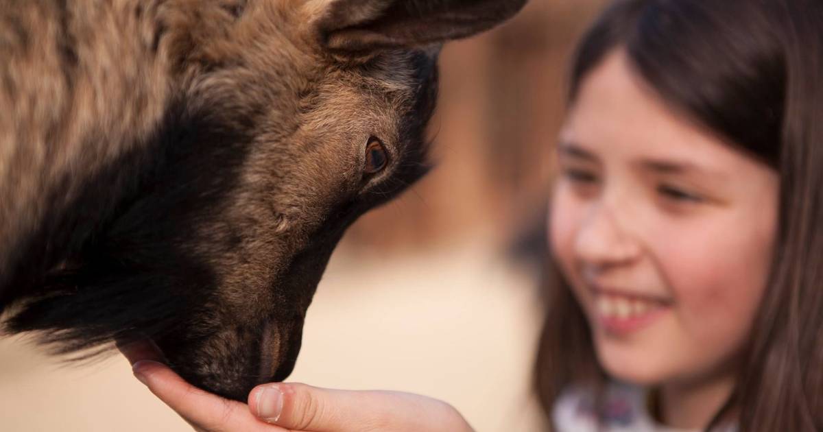 Alentejo em família: uma viagem entre Mora e Montemor-o-Novo
