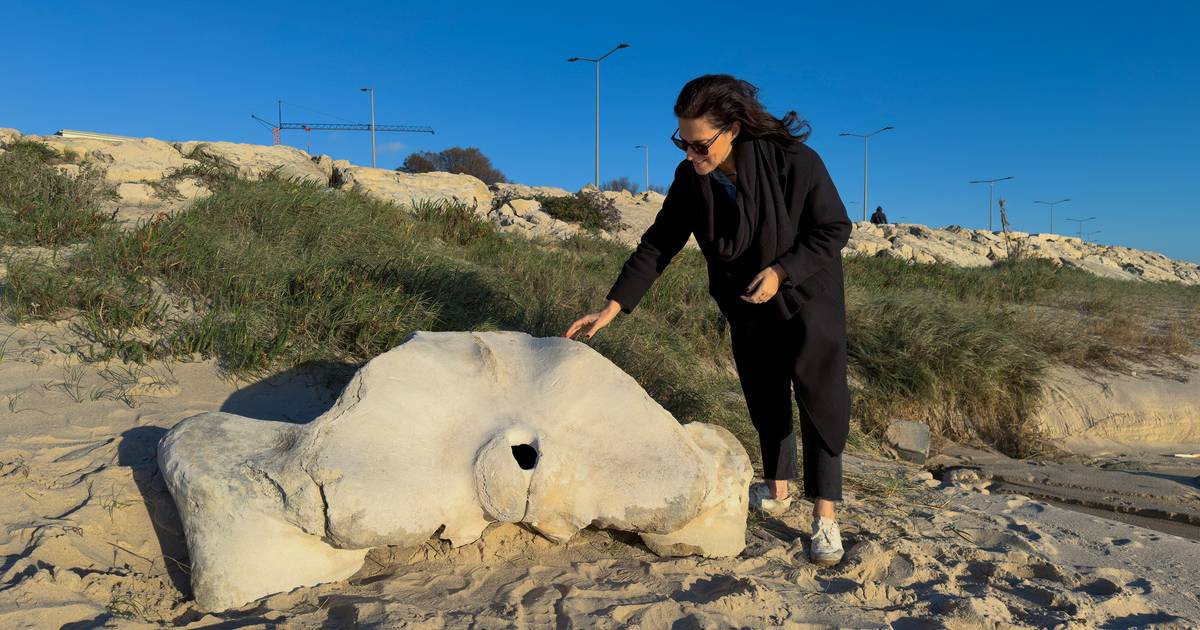 Osso de baleia com milhares de anos dá à costa em praia da Figueira da Foz