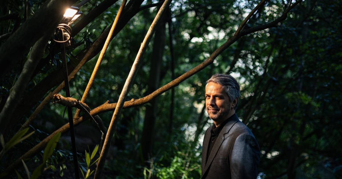 Rodrigo Tavares, cientista político: “O Brasil não cabe na imagem sentimental do povo irmão”