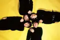 Beatles é amor