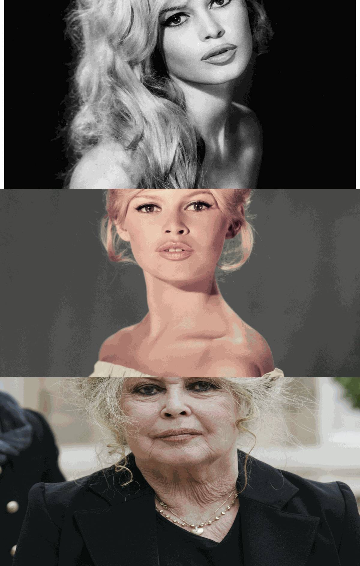 Brigitte Bardot, a mais bela misantropa