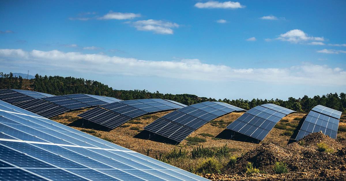 Ambientalistas convocam protesto na Beira Baixa contra falta de transparência em megacentrais solares