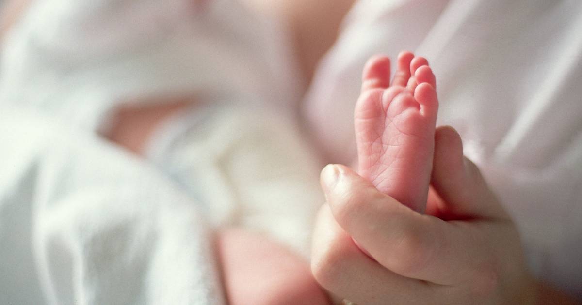 Nascimentos voltam a subir e atingem máximo de dez anos