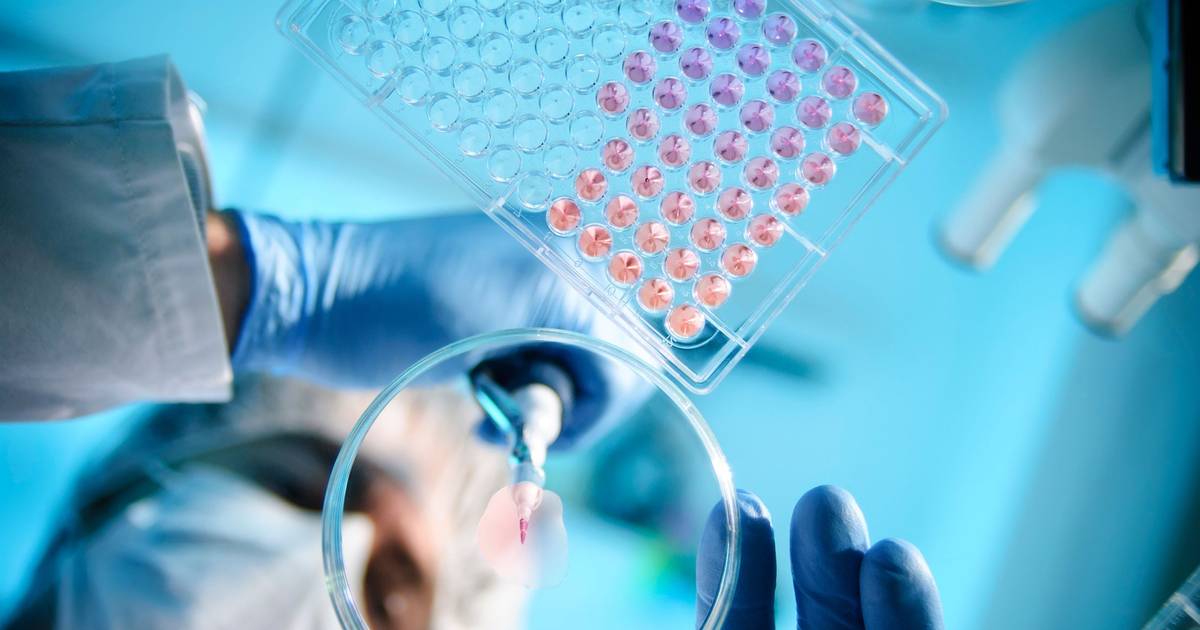 SIFIDE "caiu que nem uma luva" no sector do capital de risco, e deve continuar "noutras condições", defende setor