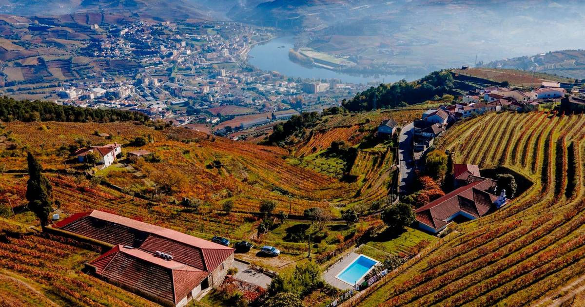 Quinta secular transformada em alojamento convida a viver o Douro genuíno