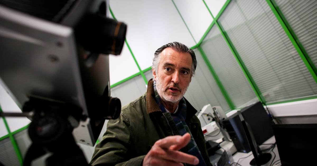 Cotrim Figueiredo não excluiu apoiar Ventura na segunda volta? O que disse o candidato