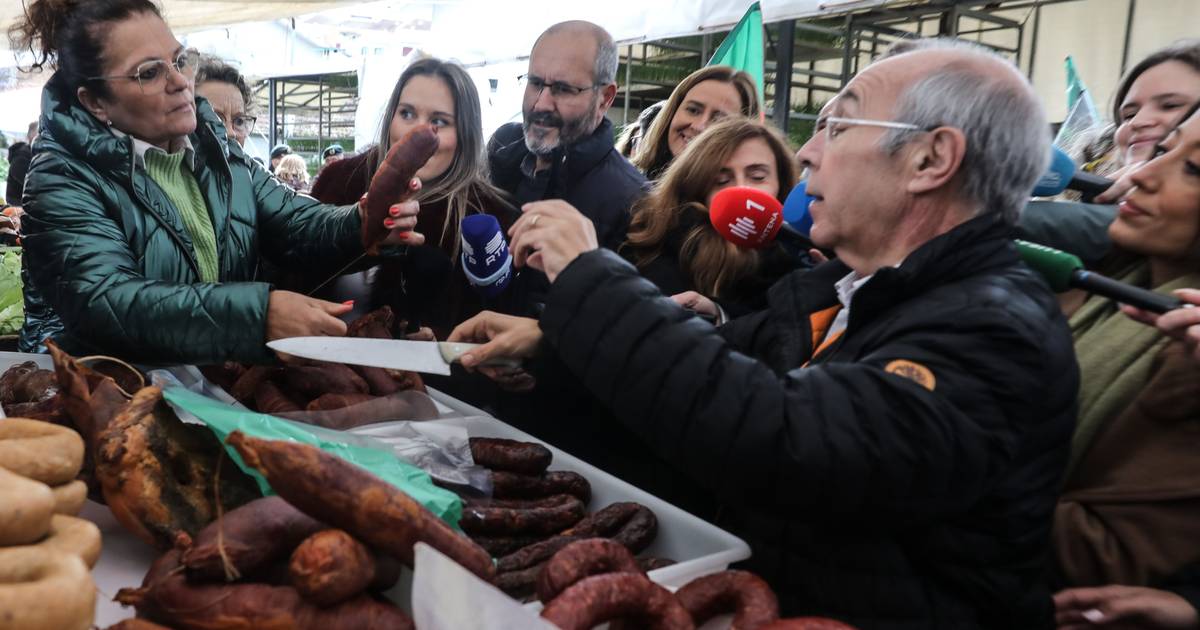 "A democracia está sob ameaça": erro de Cotrim anima campanha de Mendes