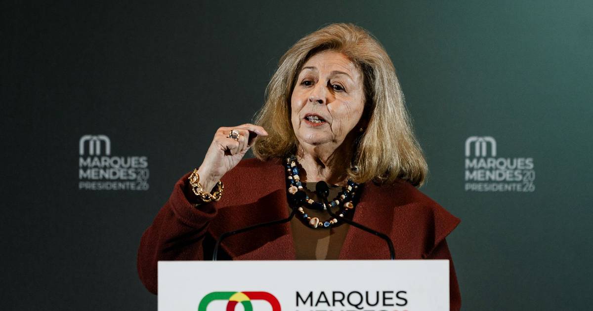 Leonor Beleza backs António José Seguro 'without reservations'