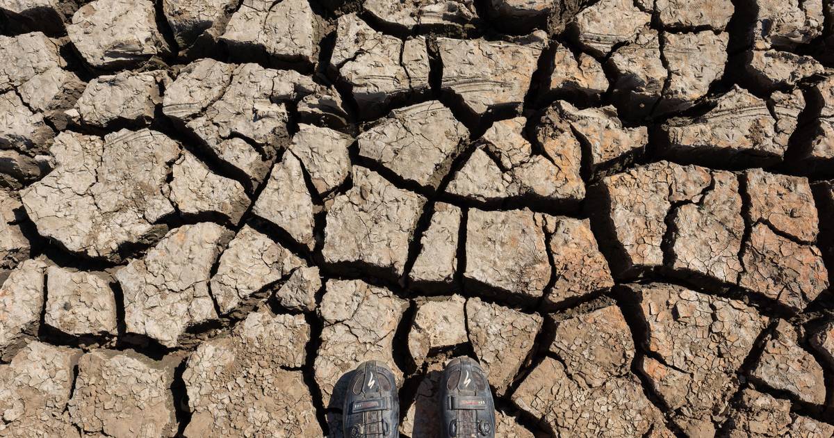 Obras da dessalinizadora do Algarve já arrancaram: ministra diz que será uma solução de "fim de linha"