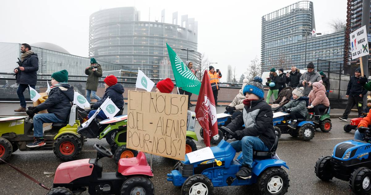 Parlamento Europeu aprova pedido para Tribunal de Justiça analisar parceria com Mercosul