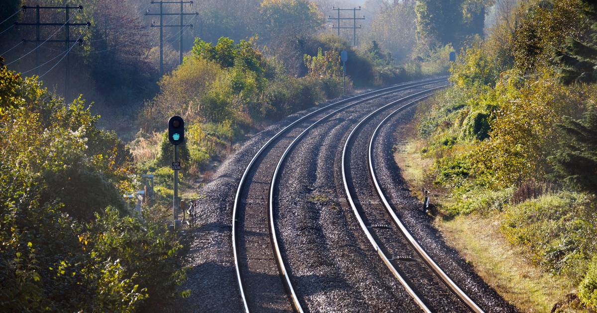 Rail services suspended on the Minho Line after a tree fell