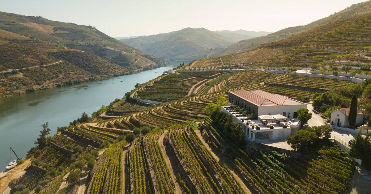 Private yacht, rare wines and historic estates: a new exclusive itinerary between Porto and the Douro