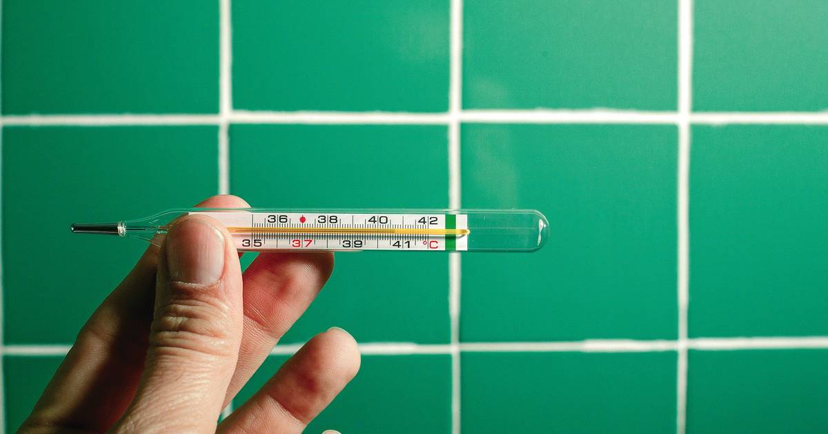 The flu saga: it's the virus's fault — but how many are circulating in Portugal?