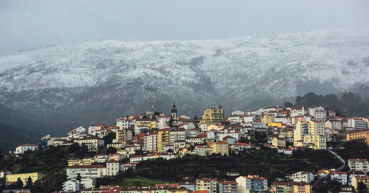 Immigration, university, investment and exports breathe new life into the Beira Interior