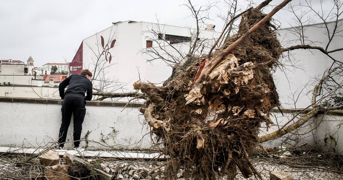 Roofs torn off, water rationed and loaned generators: the storm's impact on care homes