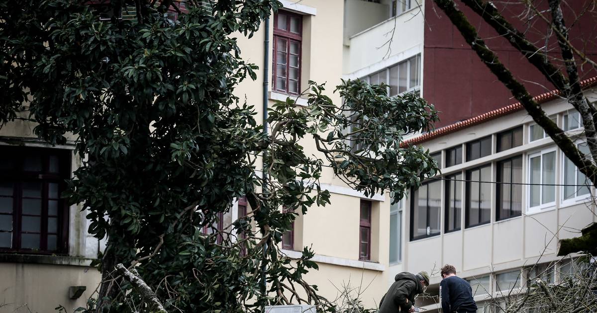 Generator-related poisoning leaves five people in serious condition: GNR warns of 'odorless and lethal' gas