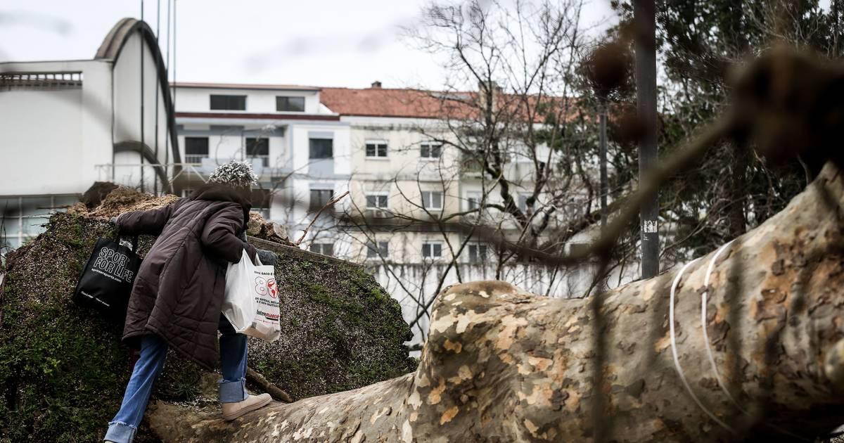 Leiria-Fátima Diocese begins contacts to restore the Sanctuary of the Incarnation in Leiria