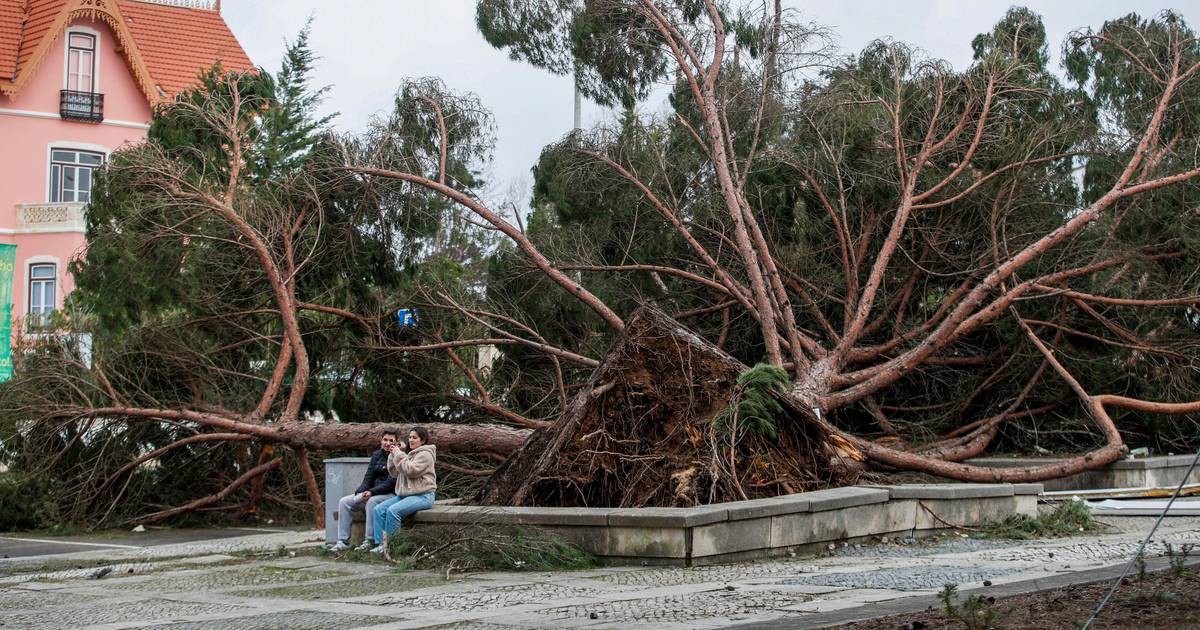 40 members of the Civil Protection Special Force bolster support in Marinha Grande after Storm Kristin