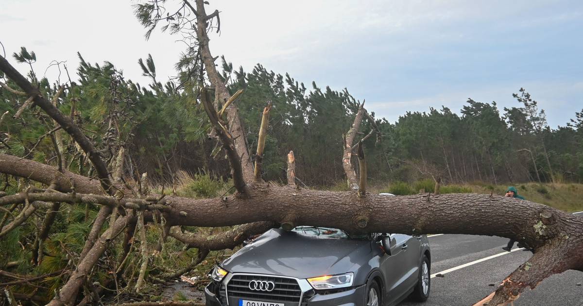 CGD and Novo Banco offer lines of credit to victims of the storms