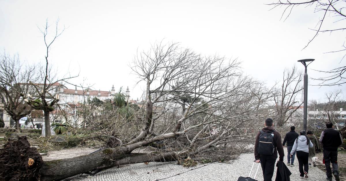Mayor of Figueiró dos Vinhos calls for help: municipality is experiencing "one of the worst moments in its history"