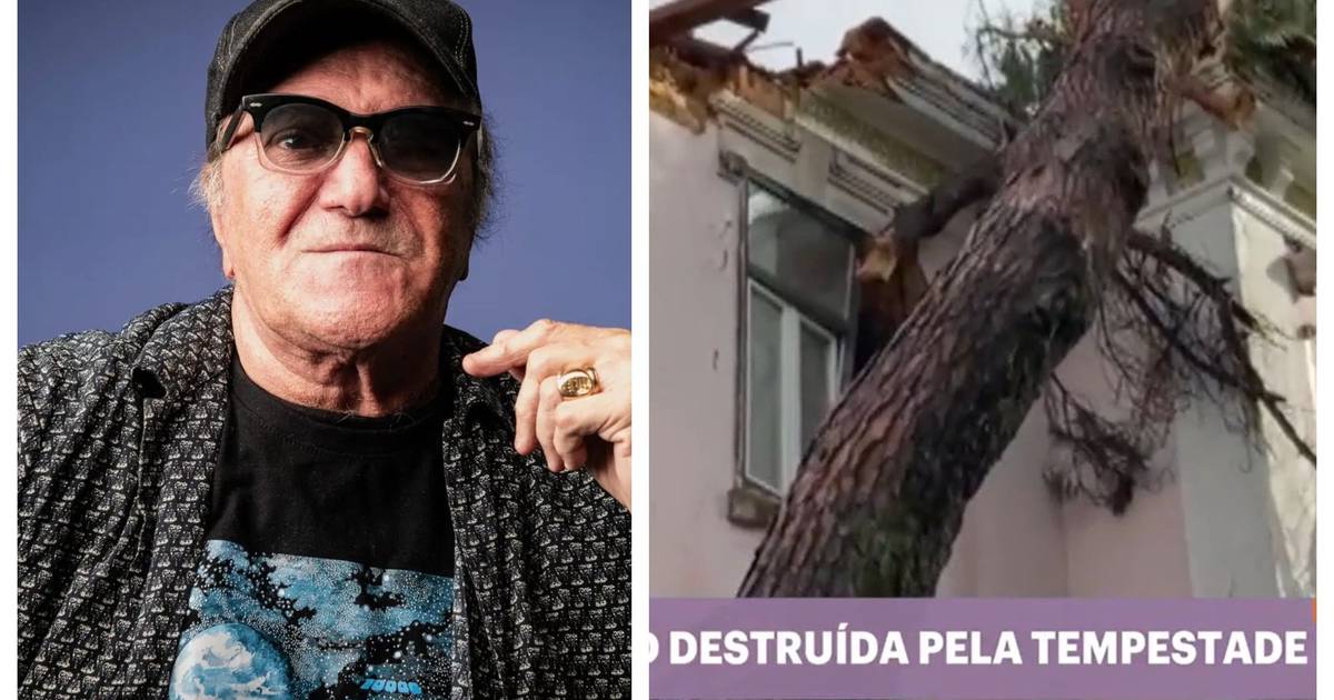 José Cid's house destroyed by falling pine tree: "I'm waking up now and seeing the damage on television. I'll give the firewood to the local people"