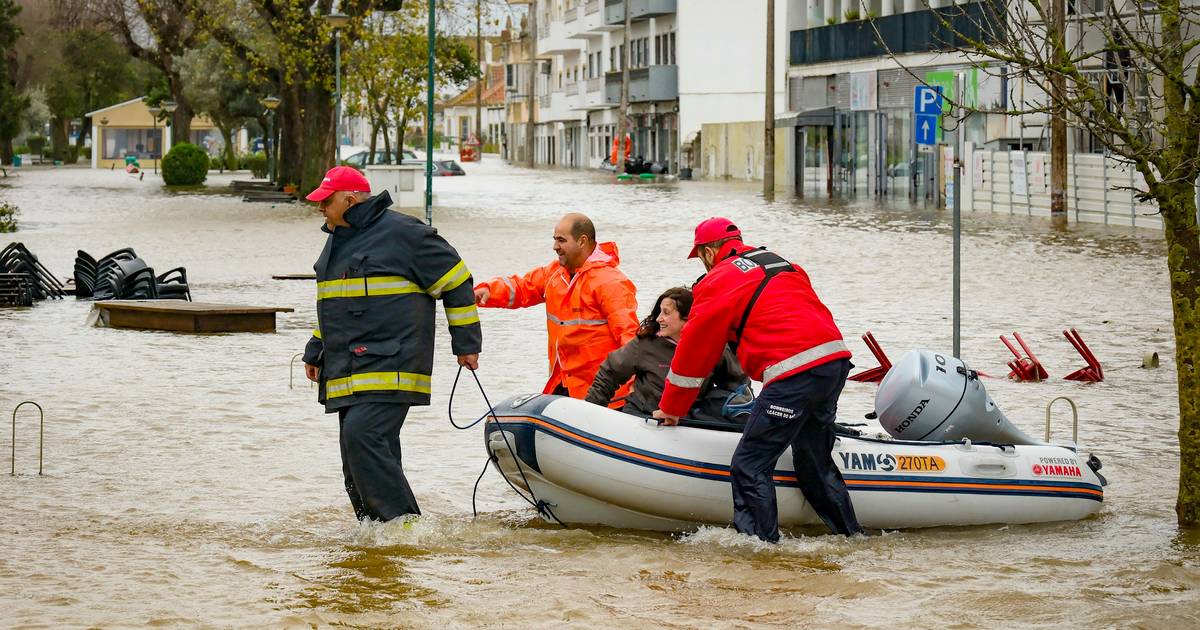 Photo gallery: Sado River bursts its banks and floods areas of Alcácer do Sal