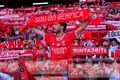 Benfica. Acordo com NOS contraria sinais europeus