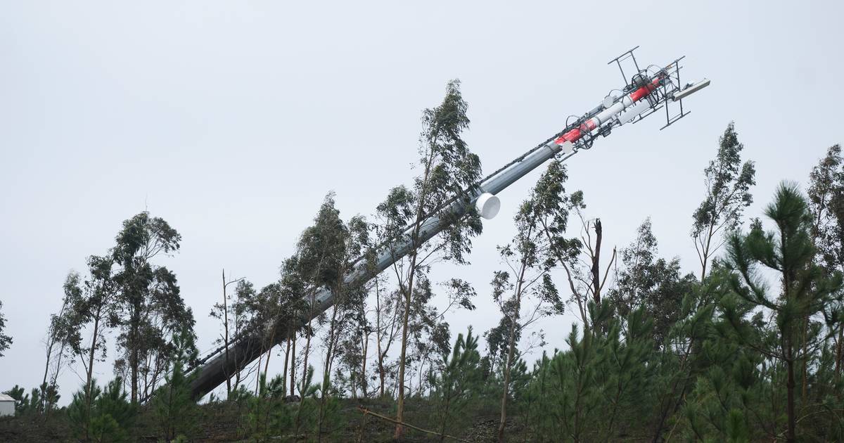Storm Kristin devastated much of the Leiria National Forest