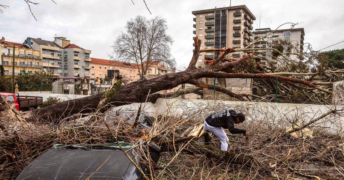 Everyone lost something to the wind