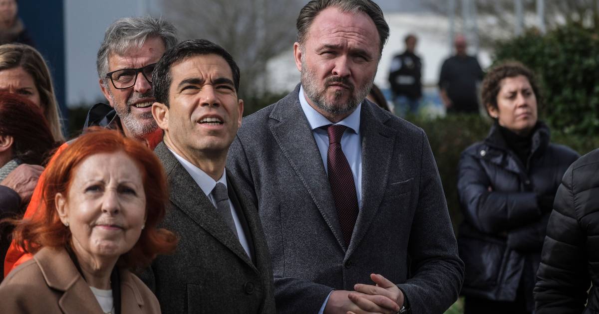 Government says electricity will be restored to 80% of affected homes by Monday