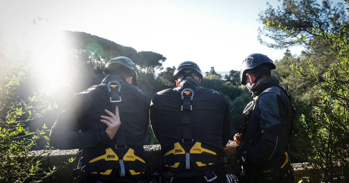 Storm Kristin: Army provides internet, generators and beds and deploys engineering detachments