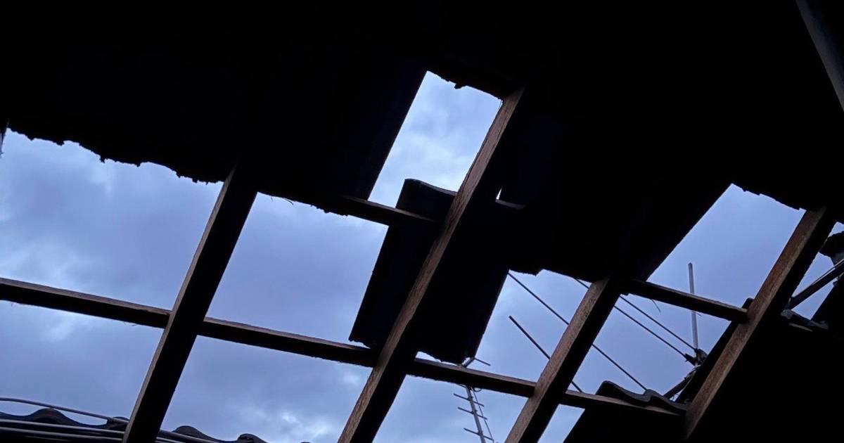 Coimbra mayor warns of possible evacuation on Sunday; several districts on alert and 230,000 without power