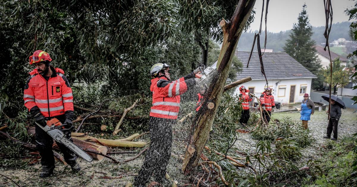 "It felt like the end of the world": Figueiró dos Vinhos faces the aftermath of a 'horror film' without electricity or mobile network