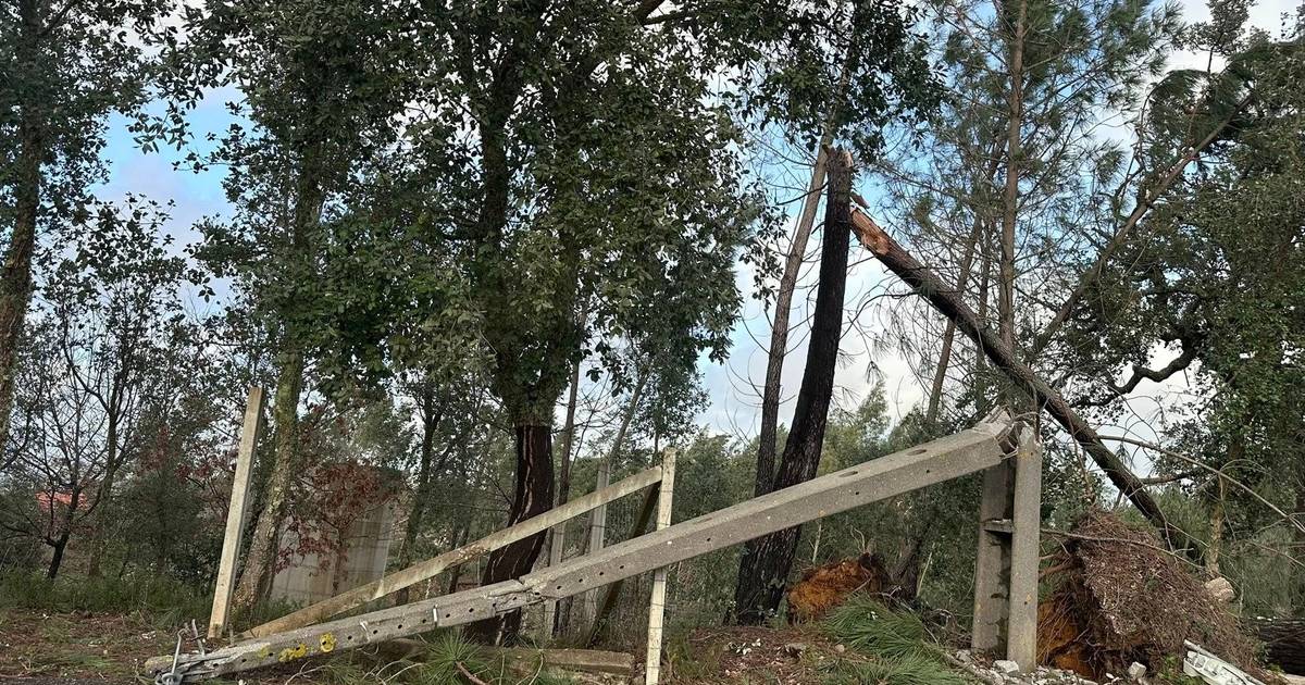 "Our territory has been completely swept away": Sertã still without water, power or communications and 15 people displaced