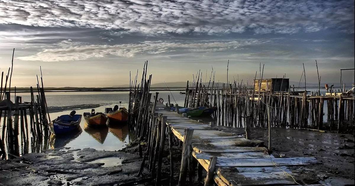 Comporta postcard: bad weather partially destroys Carrasqueira Stilt Pier