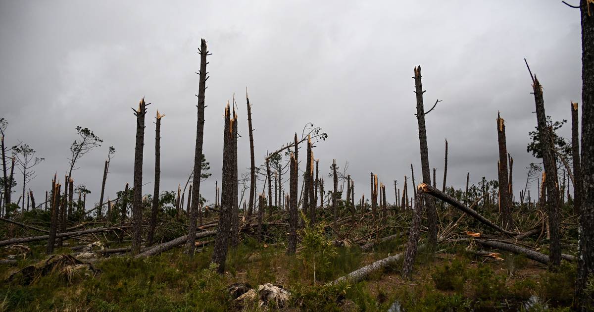 State and landowners far from ensuring cleanup before summer: storms left a trail of fuel