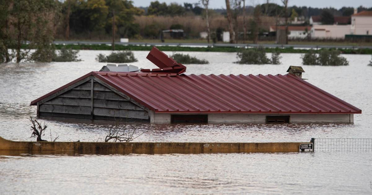 Tempestades: 85 mil sinistros participados às seguradoras e número pode chegar “rapidamente a 100 mil”, diz o sector