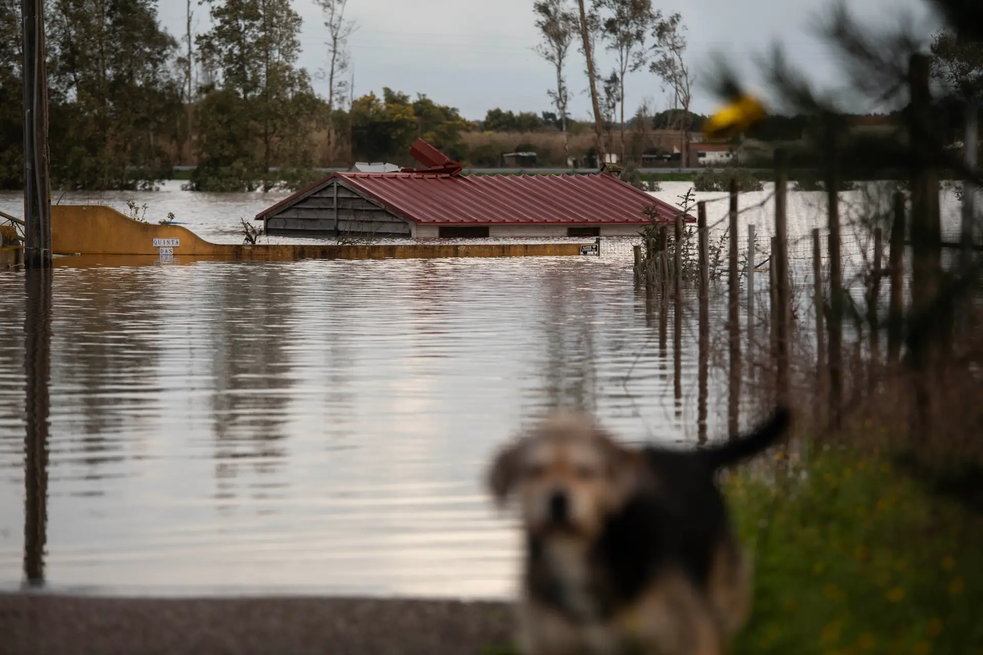 Rio atmosférico mantém Portugal debaixo de chuva e sob alerta de risco ...